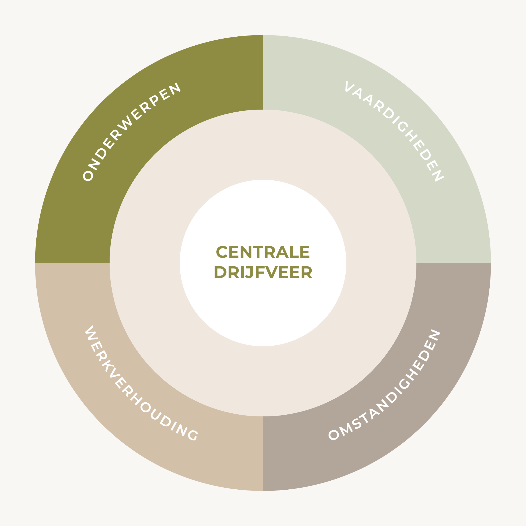 Het motivatiepatroon: centrale drijfveer, onderwerpen, vaardigheden, werkomgeving en omstandigheden